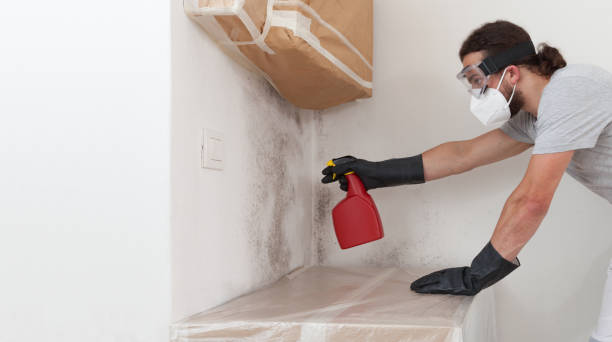 Professional Commercial Mold Remediation technician working in Hallieford, VA