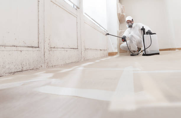 24/7 Emergency Commercial Mold Remediation experts in Hallieford, VA