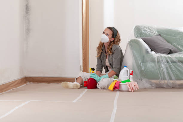 Reliable Commercial Mold Remediation contractor in Hallieford, VA by WQB Mold Removal
