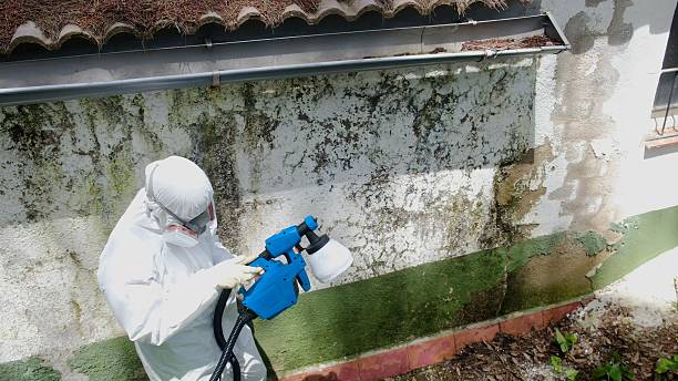 Top rated local Commercial Mold Remediation specialists in Hallieford, VA
